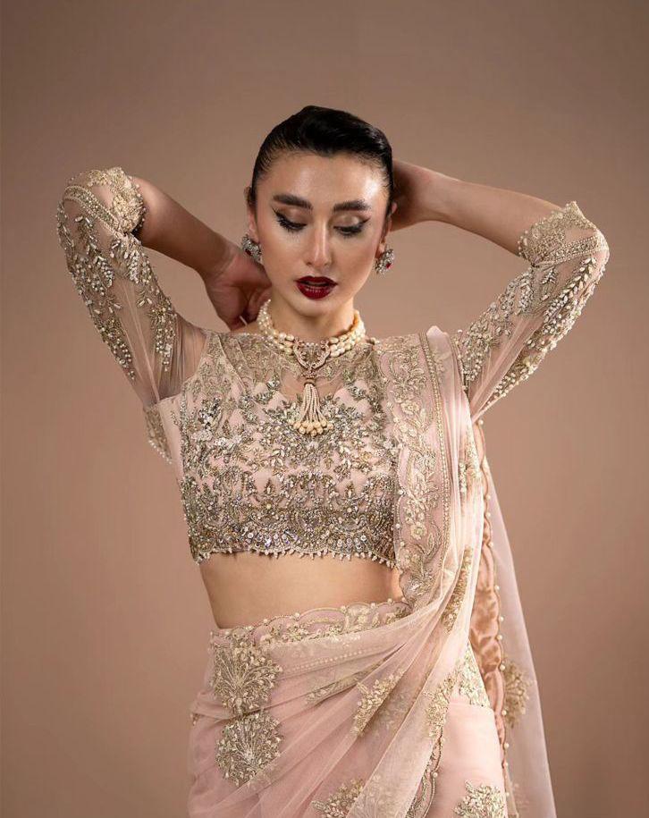 Celestial Grace – Light Peach Embroidered Saree by Maryam by Rania